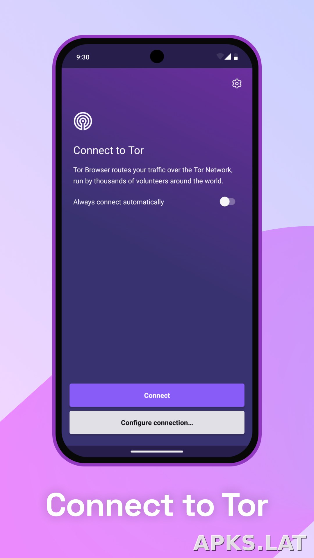 Tor Browser скриншот 1