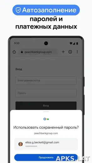Google Chrome скриншот 6