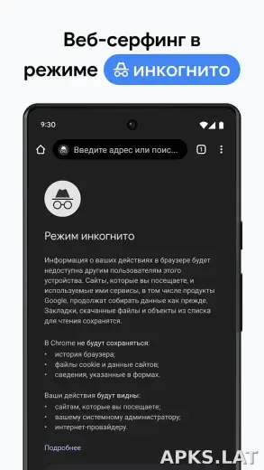 Google Chrome скриншот 3